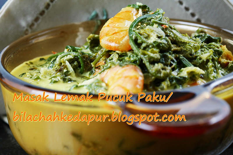 MASAK LEMAK PUCUK PAKU Bila Chah Ke Dapur