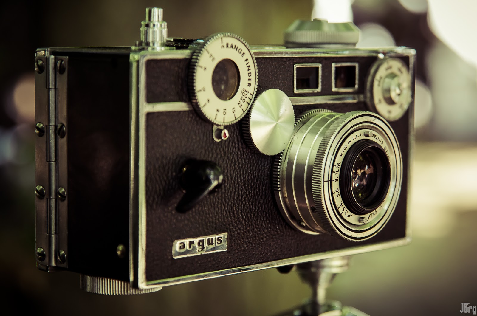 Rund Um Darwin Bildbeilage