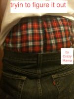http://www.smashwords.com/books/view/43995#longdescr