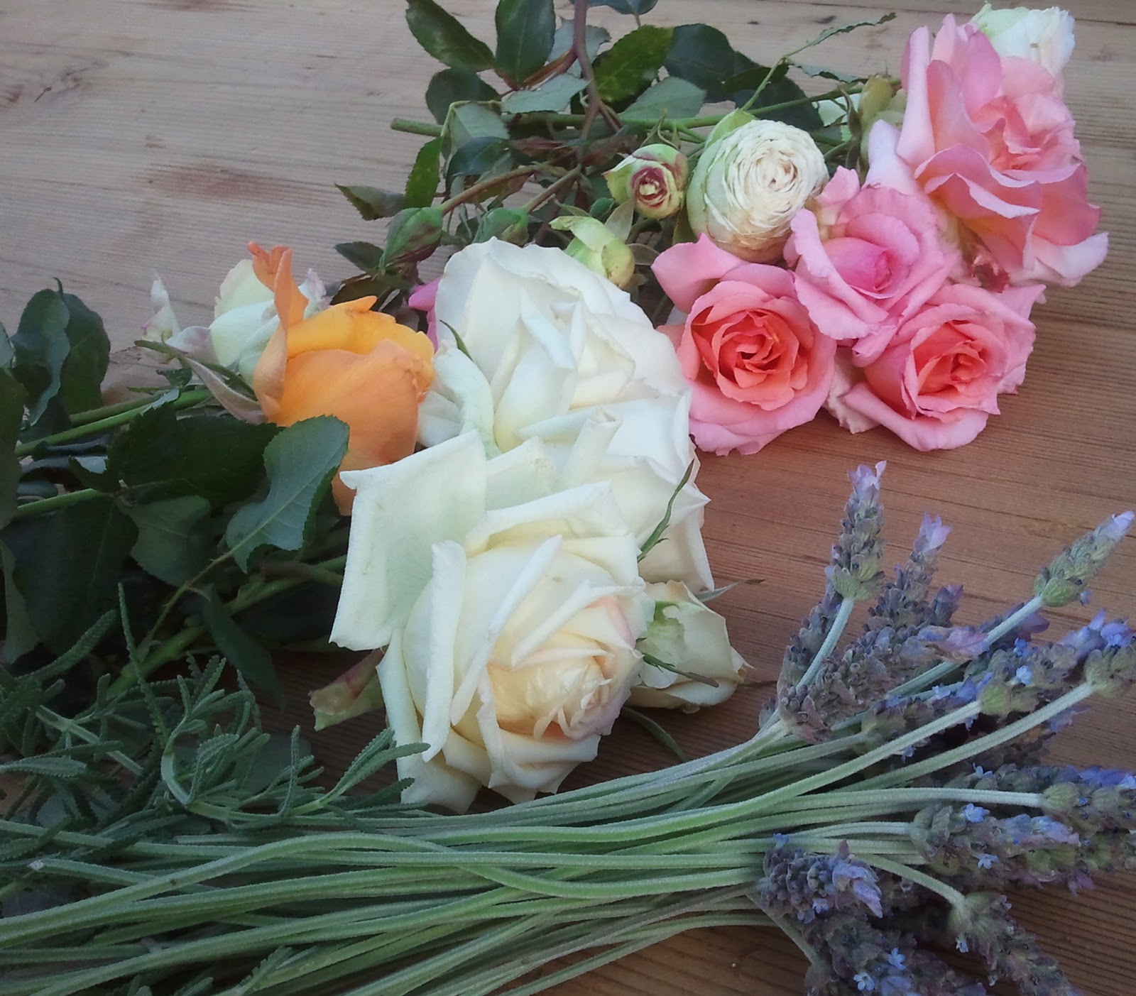 Cottage By Design With Trish Banner Facebook Page Blog Email