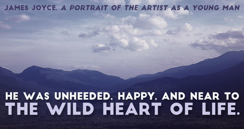 51 Of The Most Beautiful Sentences In Literature EndoRiot