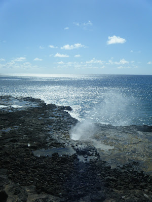 blowhole