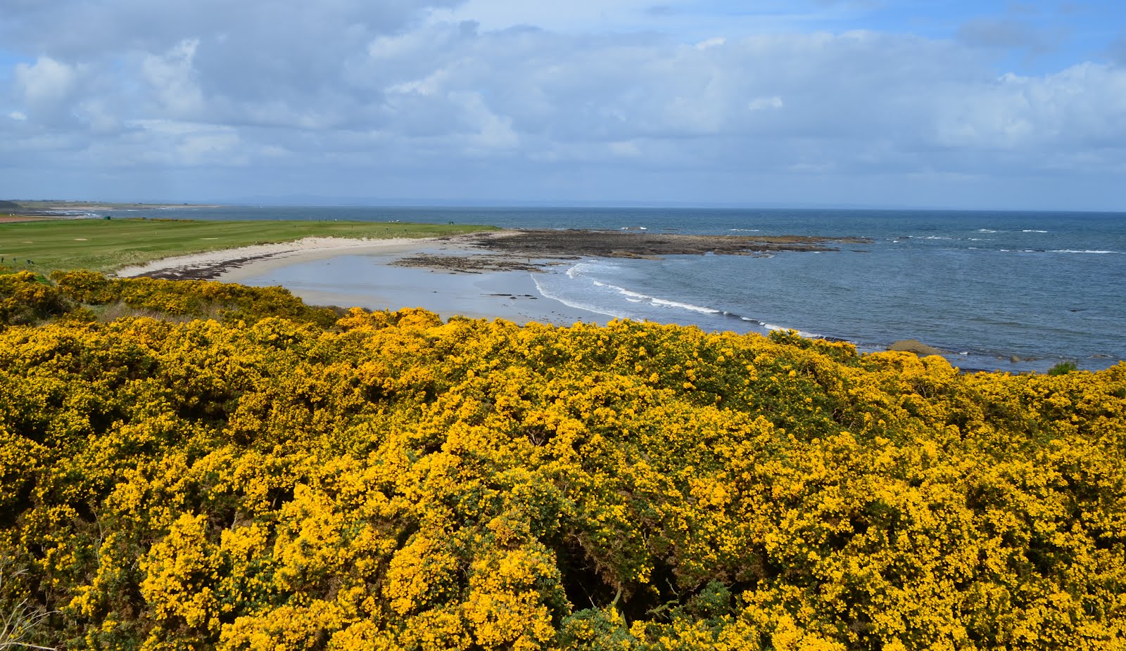 Tour Scotland Photographs Tour Scotland Video Photographs Fife Coastal