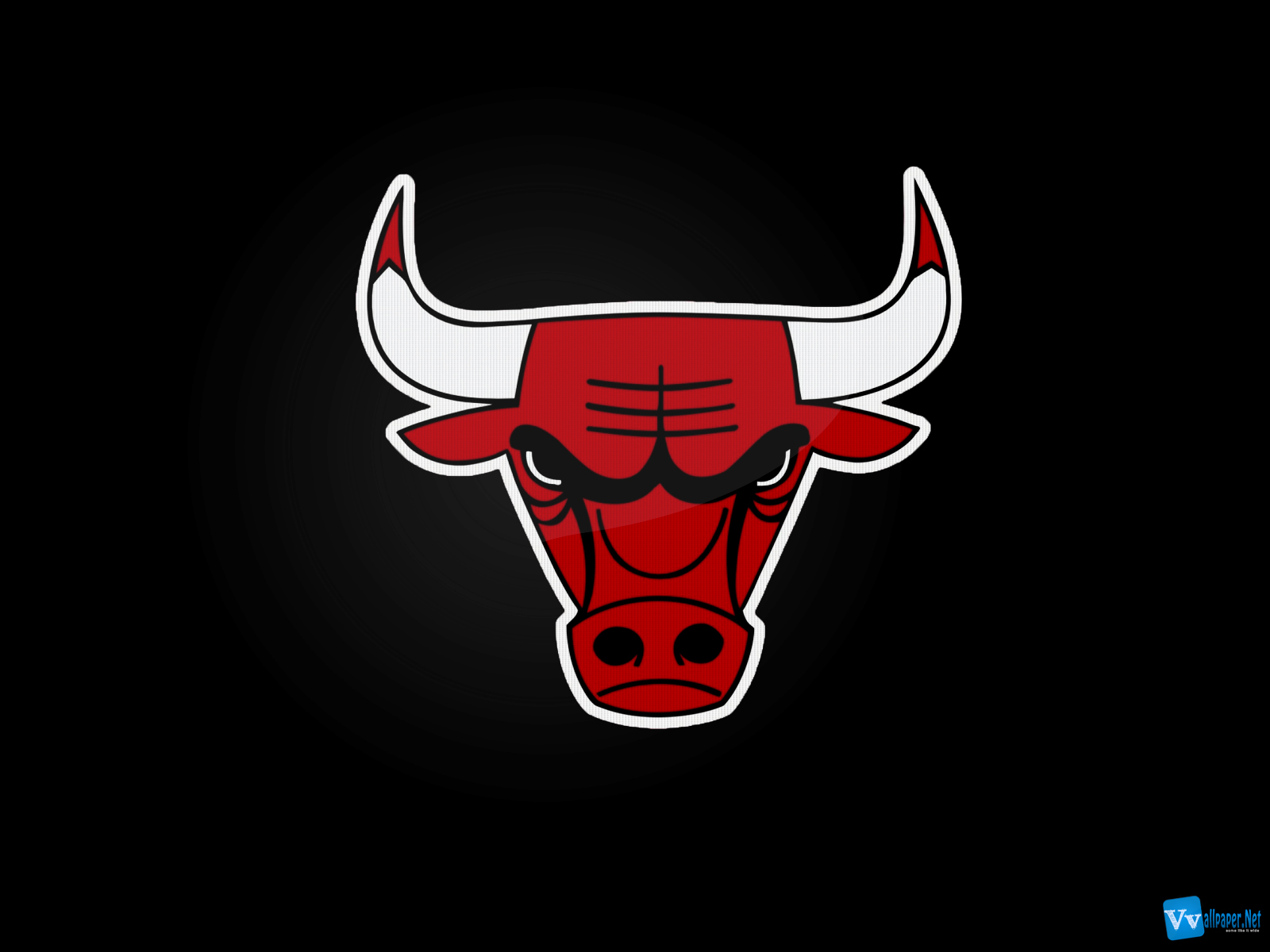 NBA Chicago Bulls Basketball Team Logo HD Wallpapers| HD Wallpapers