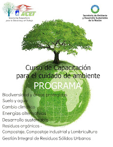 PROGRAMA CURSO AMBIENTAL