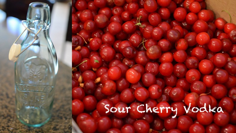 vodka sour cherry