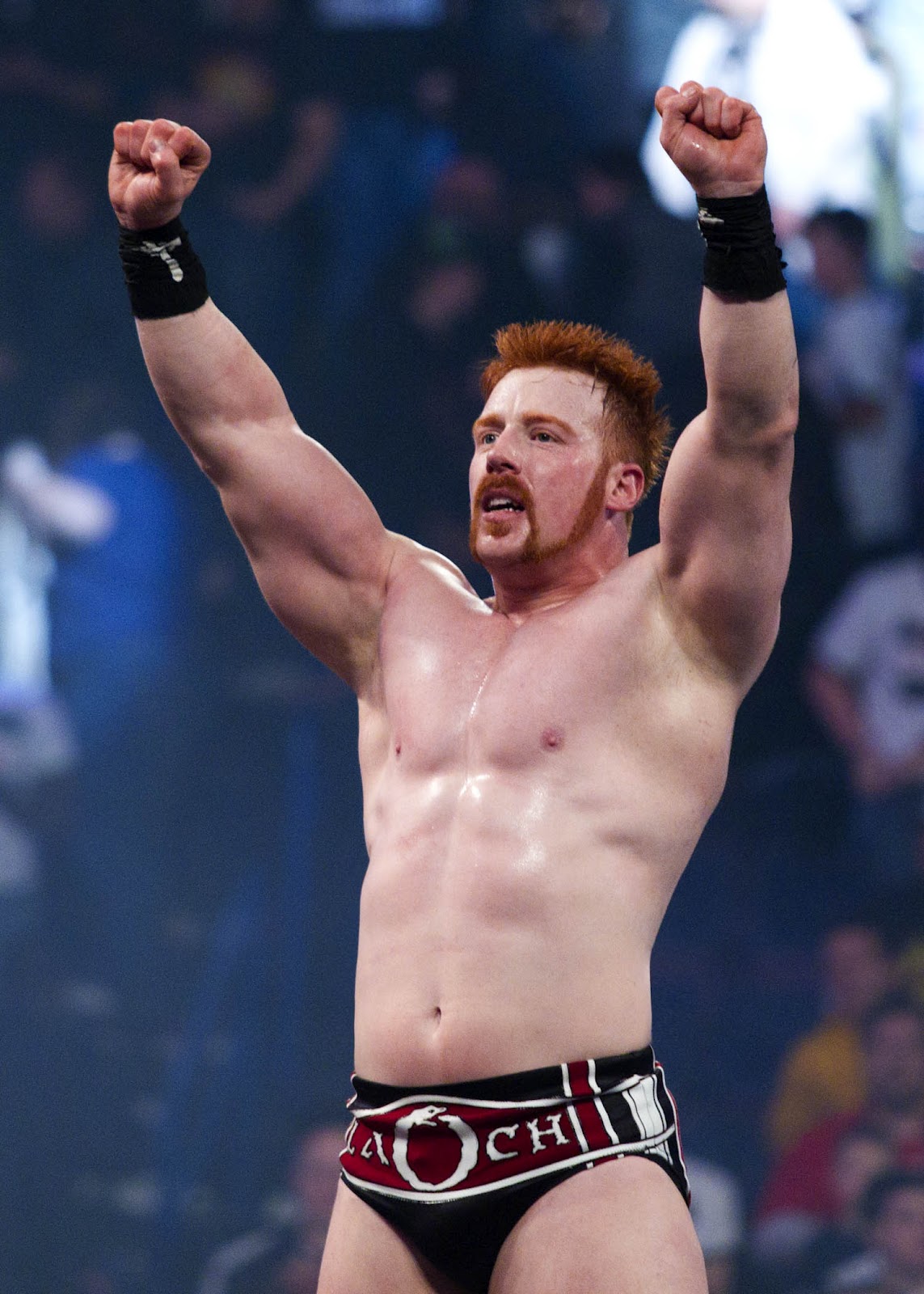 WORLD WRESTLING ENTERTAINMENT: Sheamus World Heavy Weight Champion