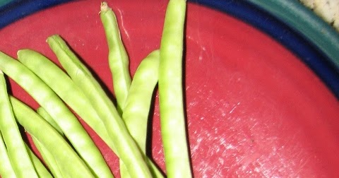 Twenty Foot Garden: Mississippi Cream Peas
