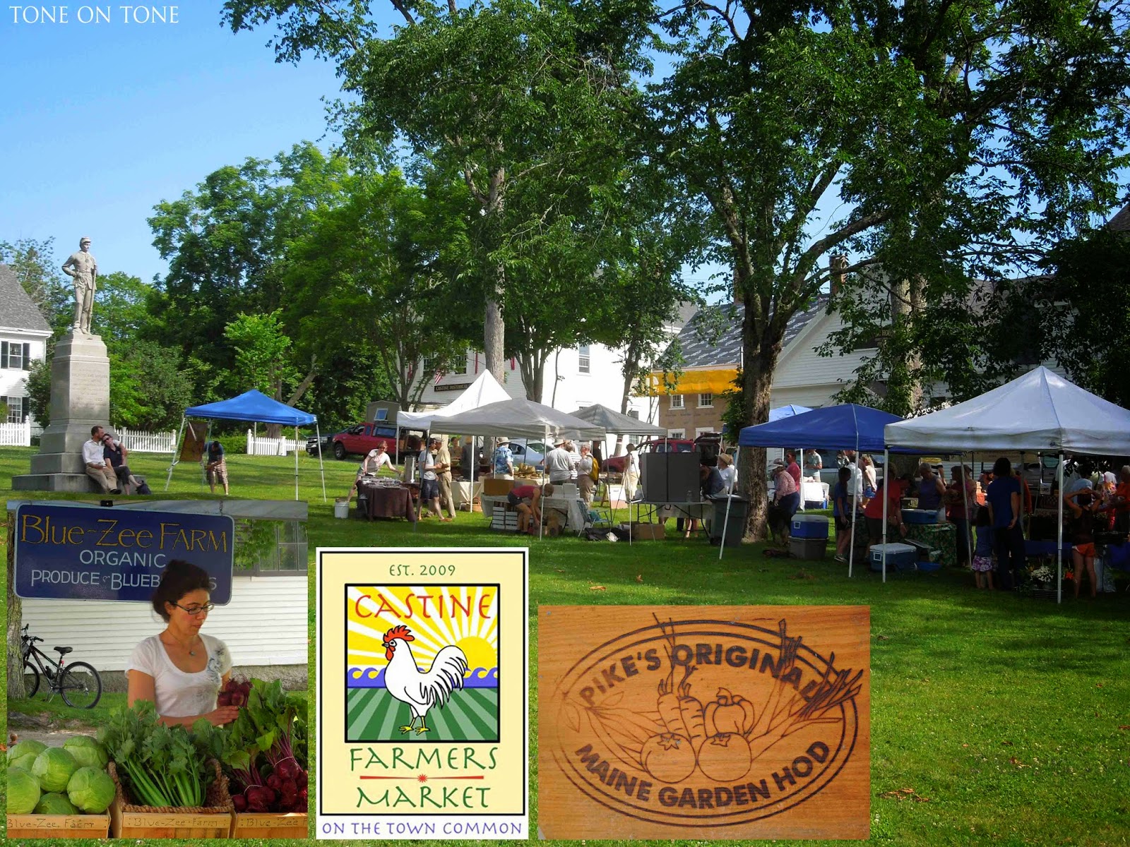 Tone on Tone to Castine, Maine!