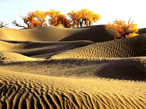 China S Top 5 Beautiful Deserts China Tours Online Blog