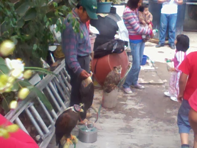 EXHIBICIÓN DE FAUNA SILVESTRE