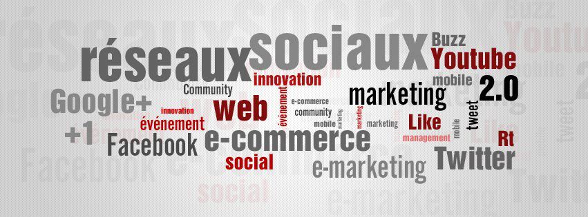 internet marketing le guide du webmarkeing