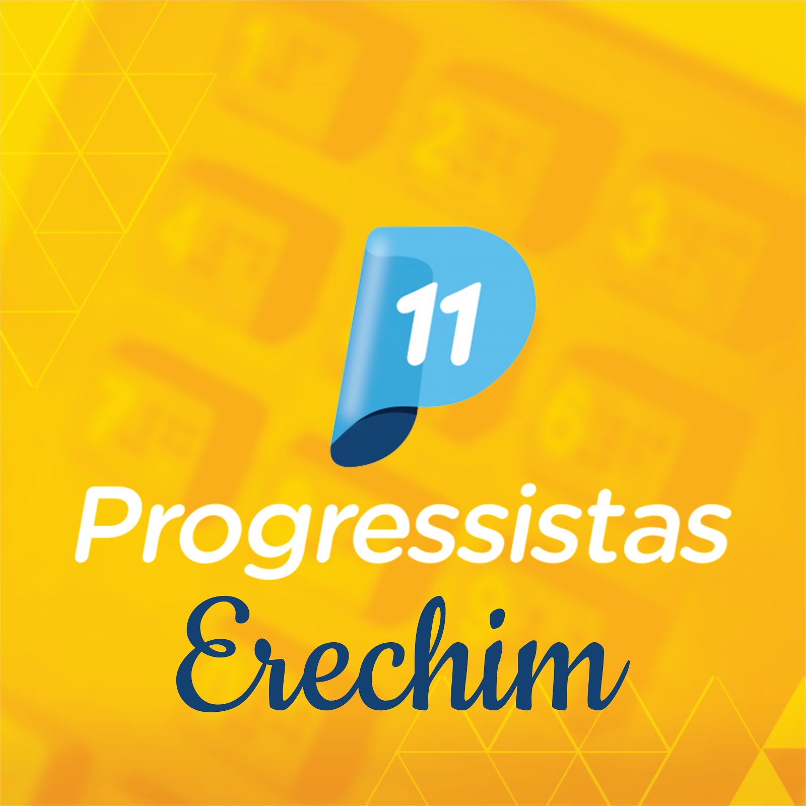 Acompanhe o Progressistas Erechim no Facebook