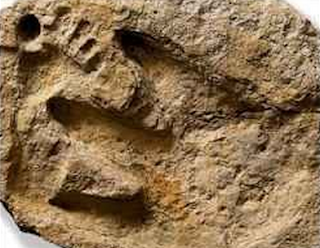 Jejak kaki Manusia raksasa dengan dinosaurus