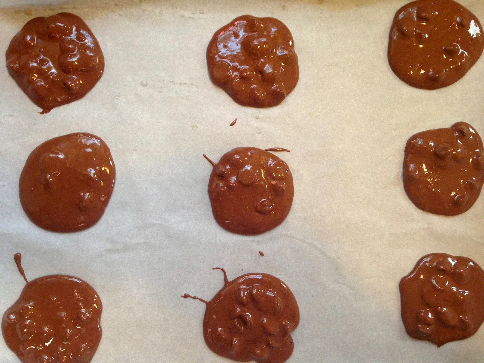 salt & zest Flourless Chocolate Brownie Cookies (gluten free)