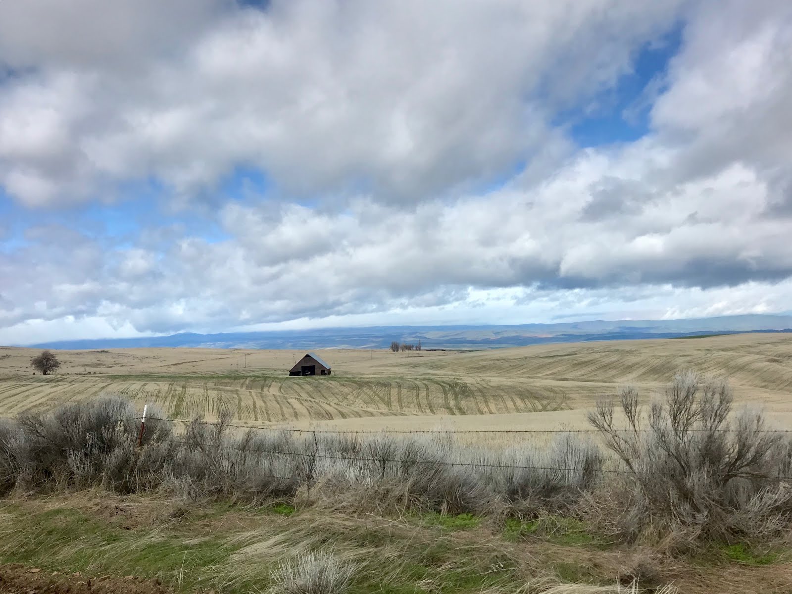 Dalles Gravel Grinder 2018 Super Size Innocent Heroine