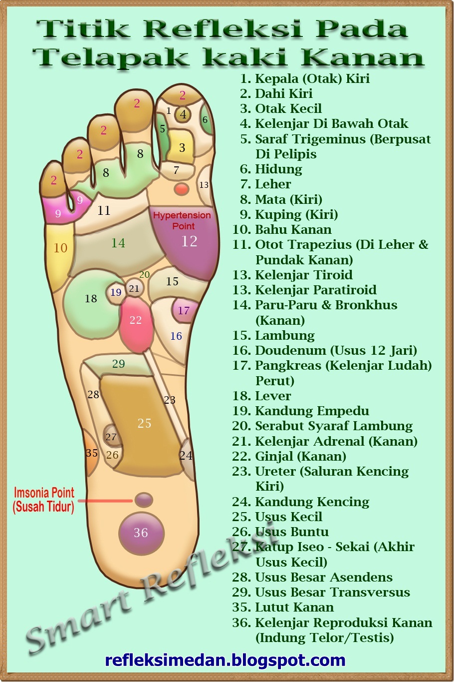 Cara Mengetahui Titik Refleksi Telapak Kaki Terapi Kaki Sistem Tubuh Manusia Refleksiologi Cara Mengetahui Titik Refleksi Telapak Kaki Terapi Kaki Sistem Tubuh Manusia Refleksiologi
