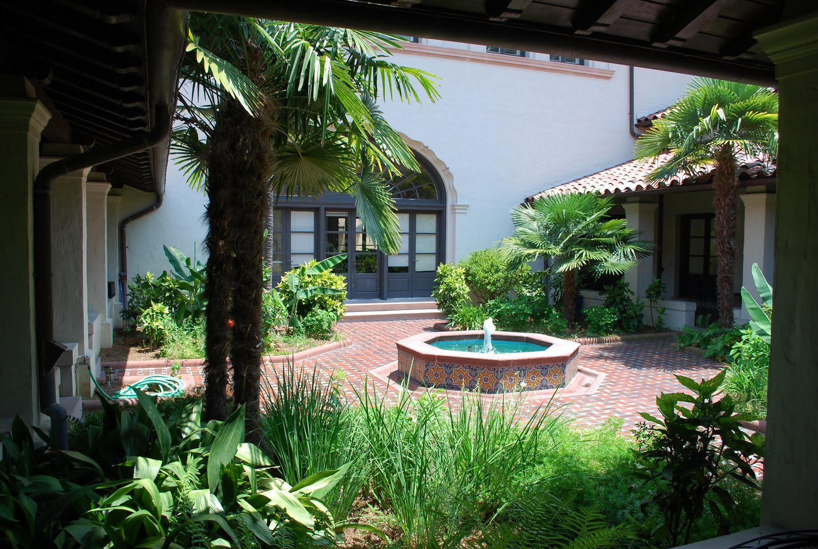 The Purple Polo Did you know?