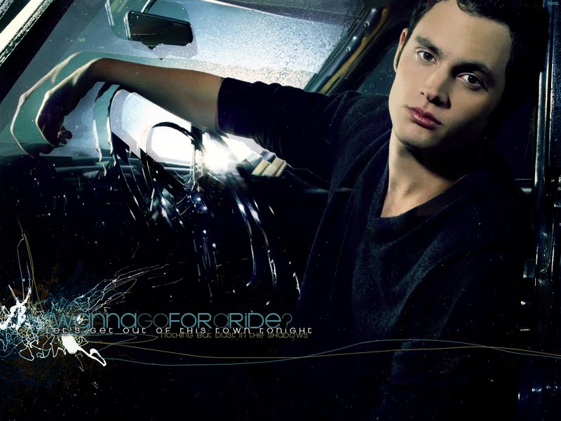 Cat Love: penn badgley wallpaper