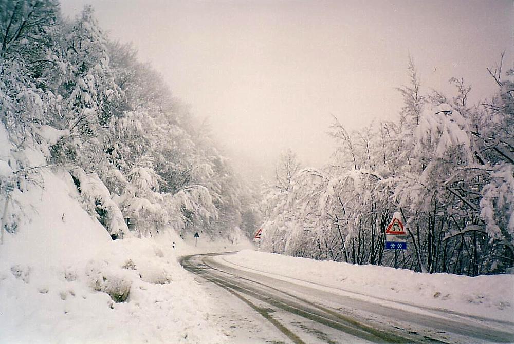 canzone di un amore nato in chat