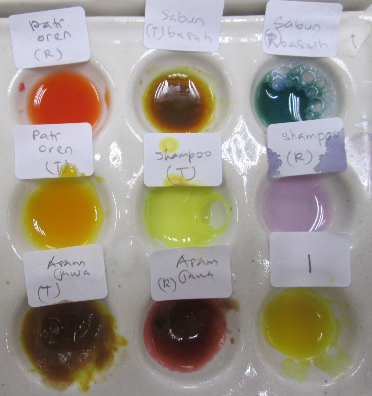 biochemistry Experiment 1 Acid Base Experiment