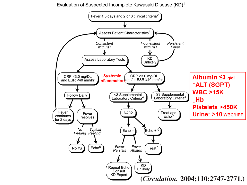 What Is Incomplete Kawasaki Disease What Is Incomplete Kawasaki Disease