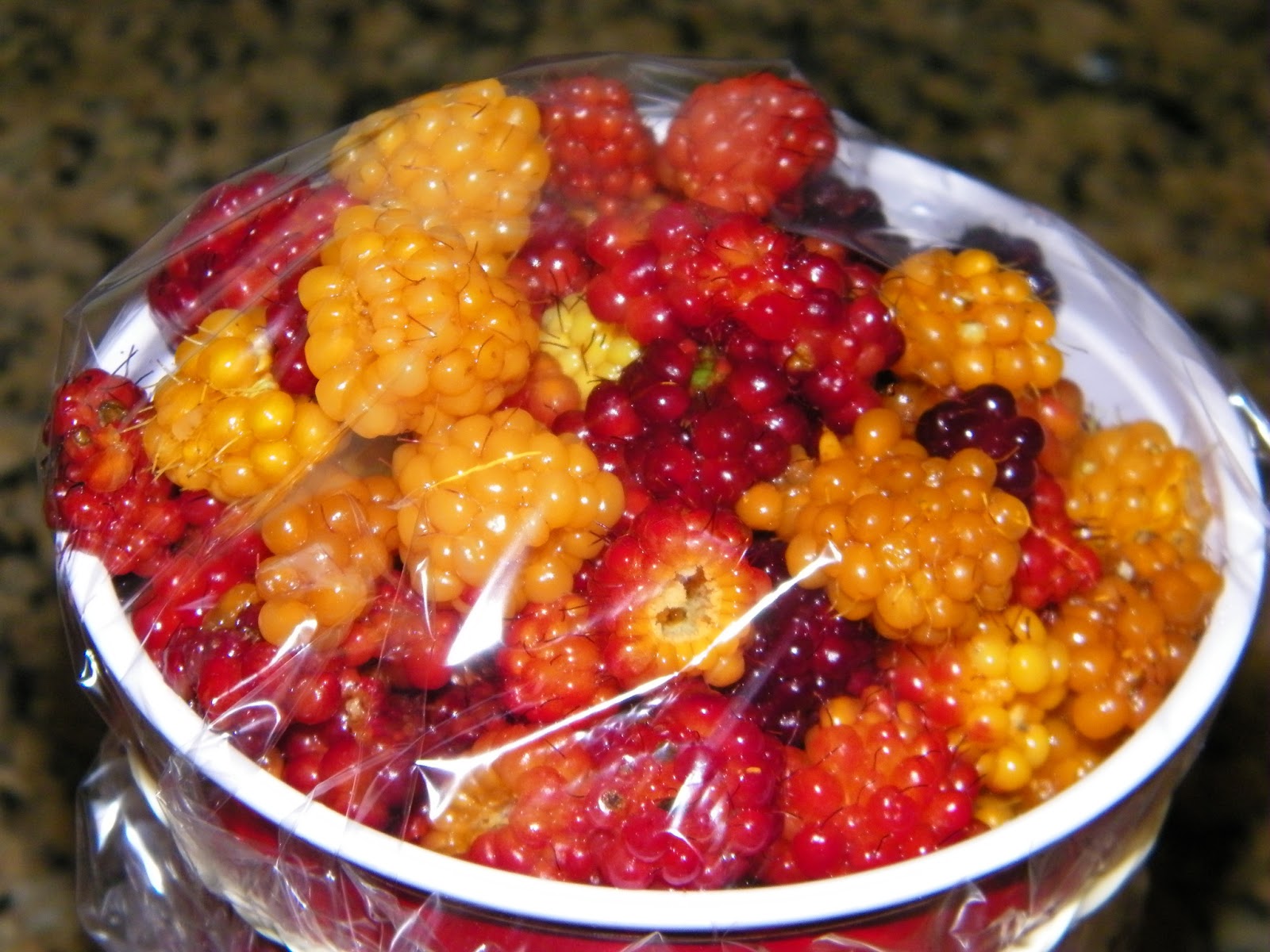 Homemade Salmonberry Cake theapron