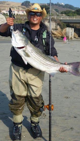 Stripers in the surf!