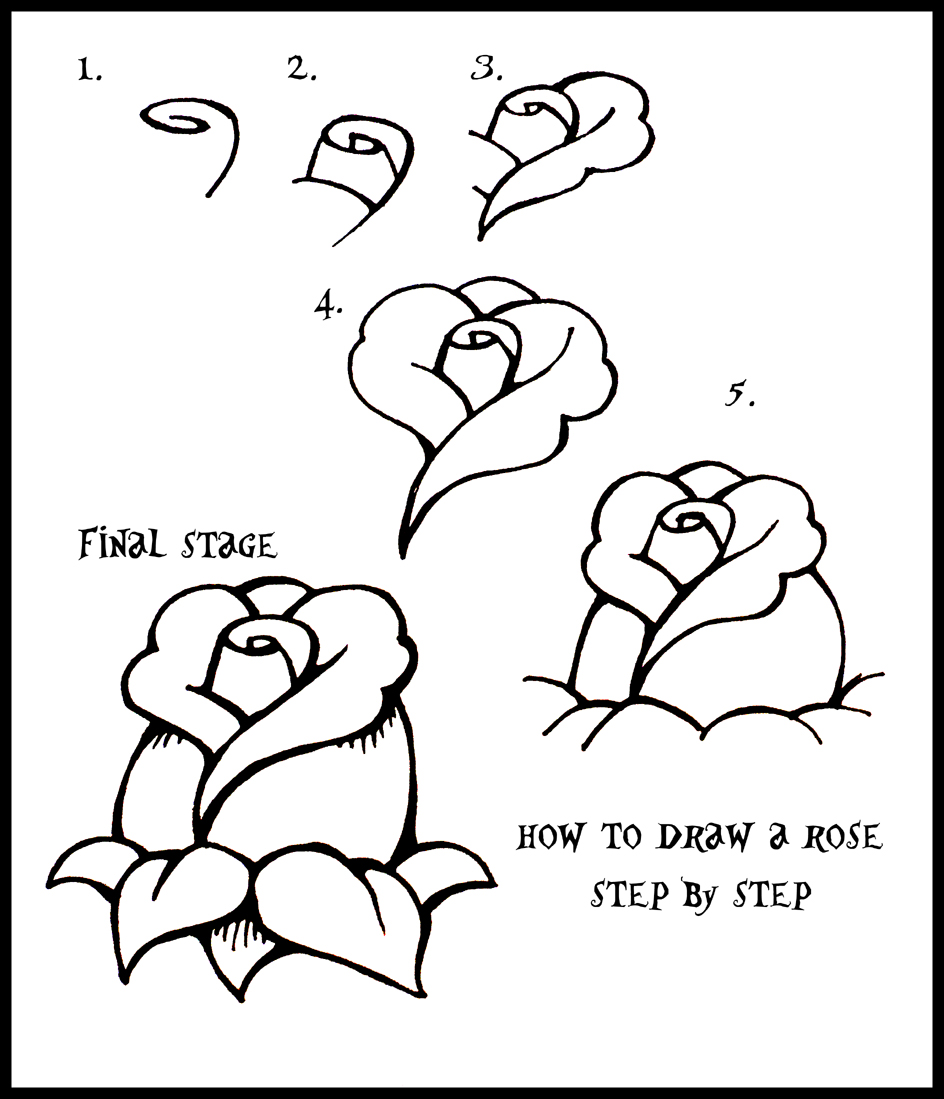 Creative Rose Sketch Drawing Step By Step for Beginner