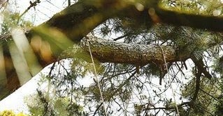 Mueblesdepalets.net: El mueble más original! la cama columpio...