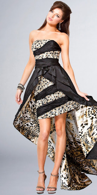 Stylish Elegant Dress With Tiger Tail
