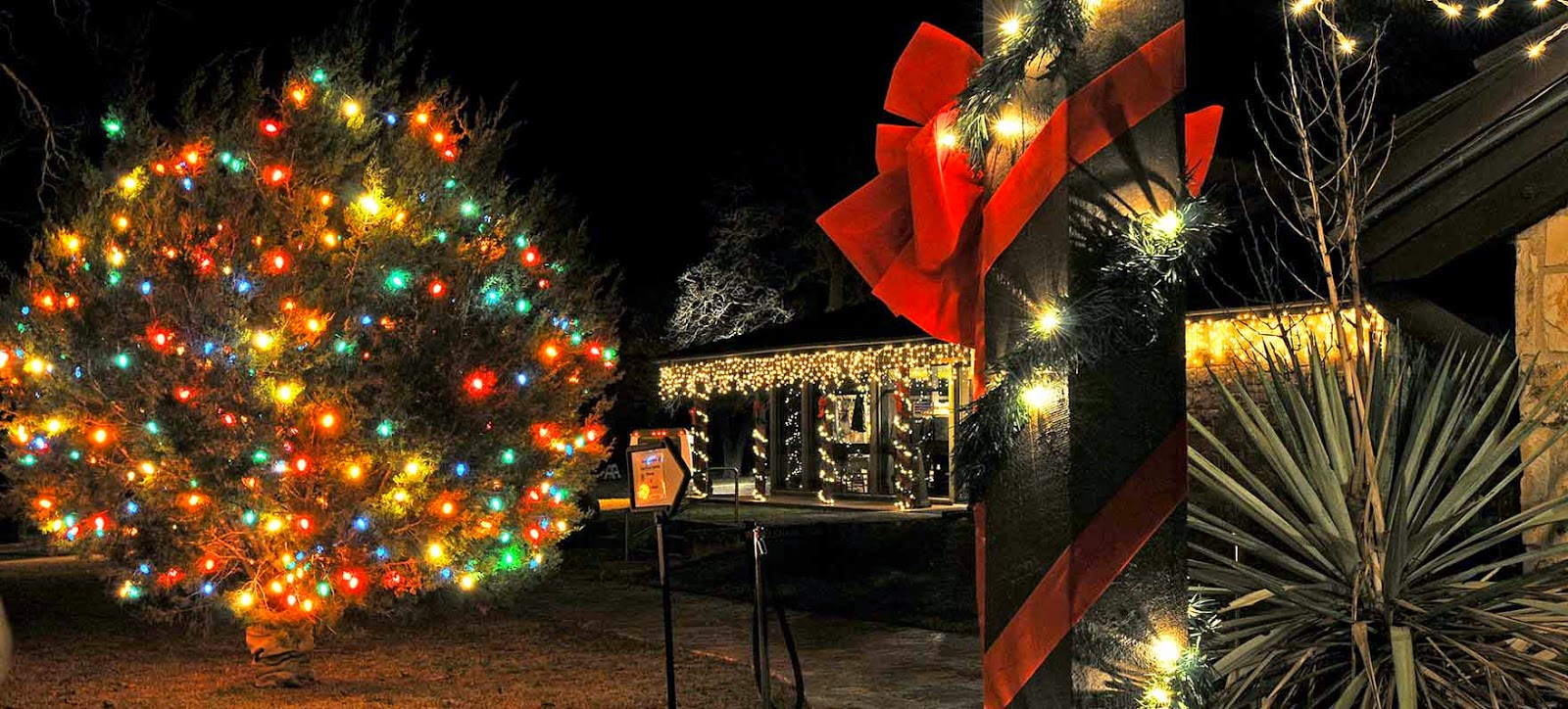 Adventures with BeeGee Outdoor News for December