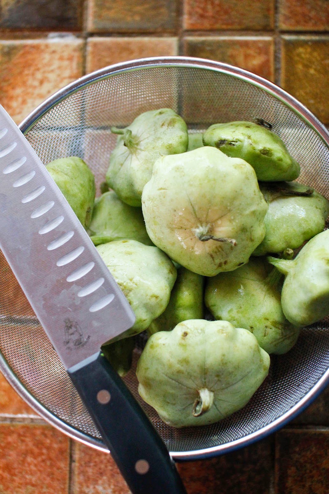 The Colors Of Indian Cooking Quick and Easy Summer Squash Salad