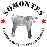 Apoyo a Somonte