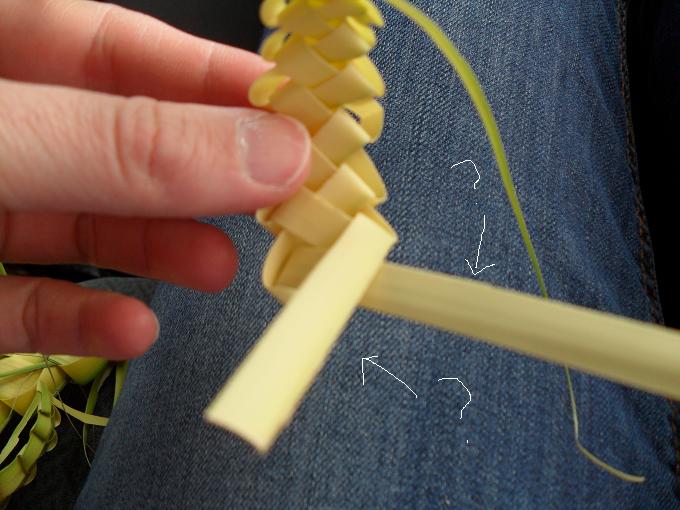 town and prairie Braiding Your Sunday Palms A Tutorial