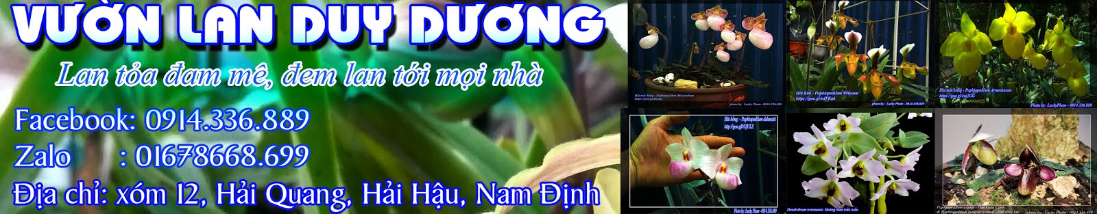 Vườn Lan Duy Dương