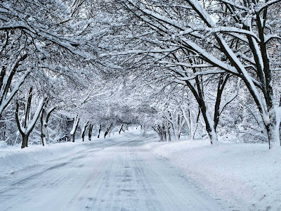 Resultado de imagen para PAISAJES NEVADOS