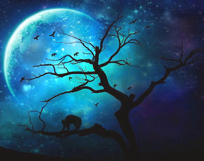 LA INFLUENCIA MÁGICA DE LA LUNA