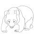 Kids Page: Wild Animal Panda Bear Walking And Coloring Pages