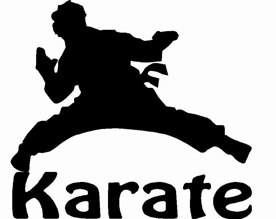 Karate Kungfu Aerobics Learn At Home School College Anywhere Karate