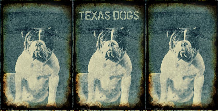 texas dogs