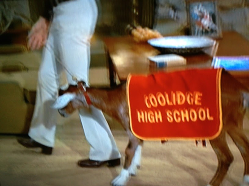 bunchojunk Brady Bunch football