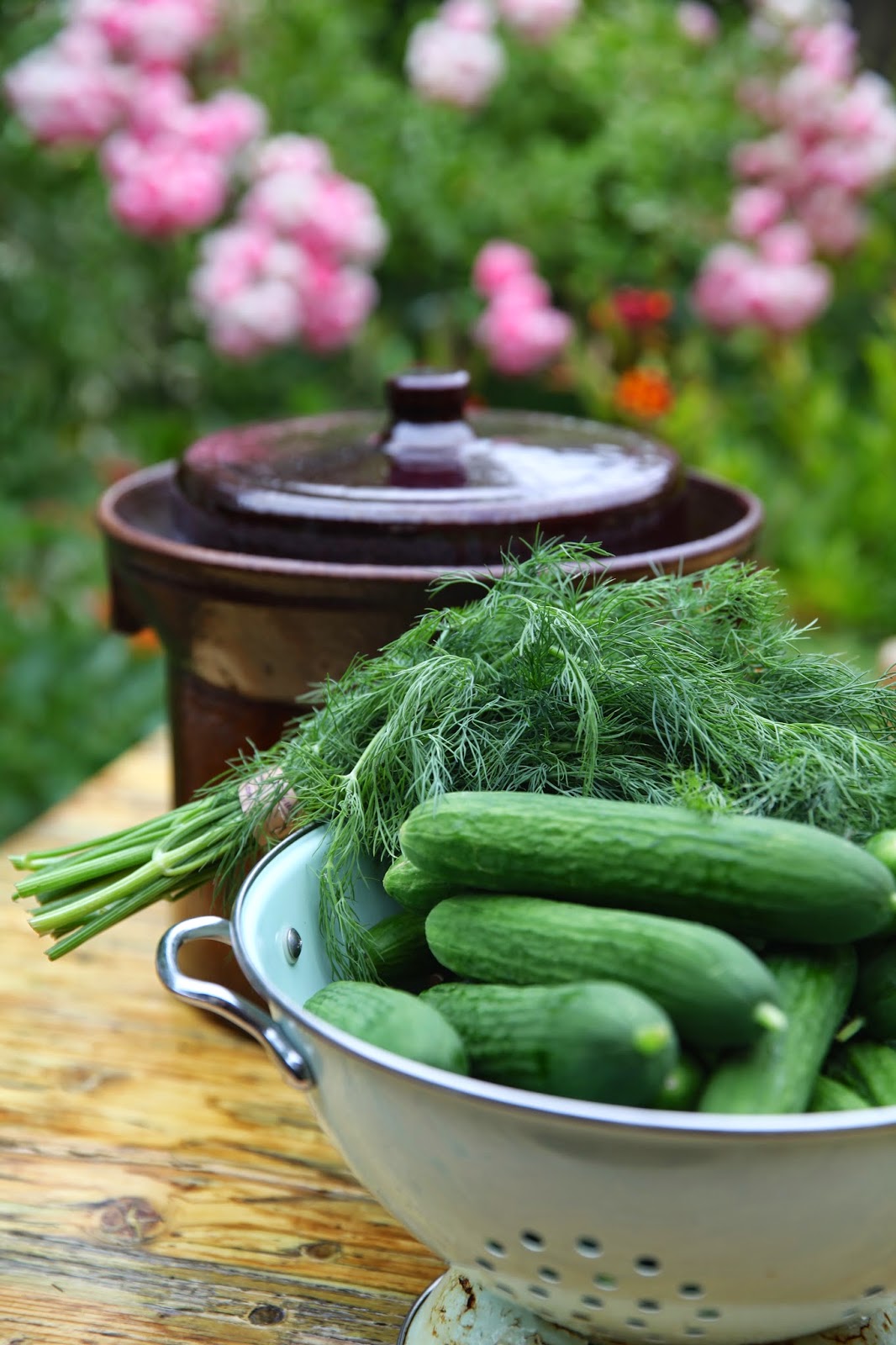 Salvation Sisters CrockFermented Dill Pickles and May Roses
