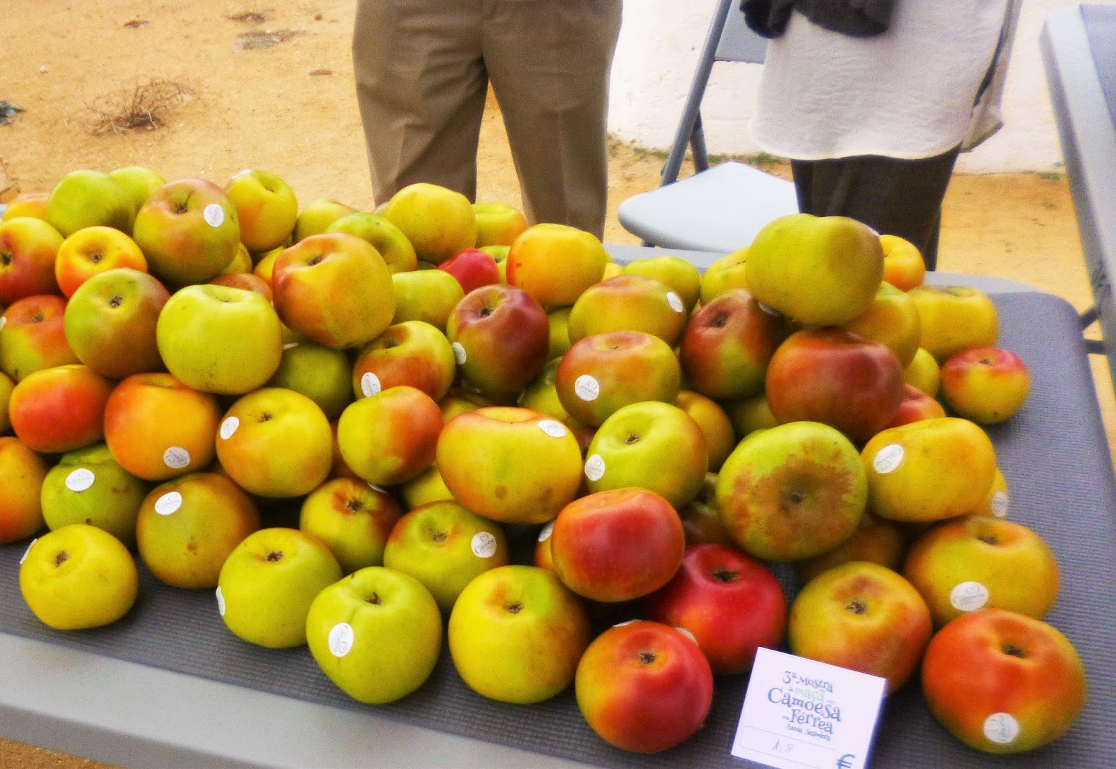 Plantas, alimentos, condimentos, receitas, restaurantes, viagens