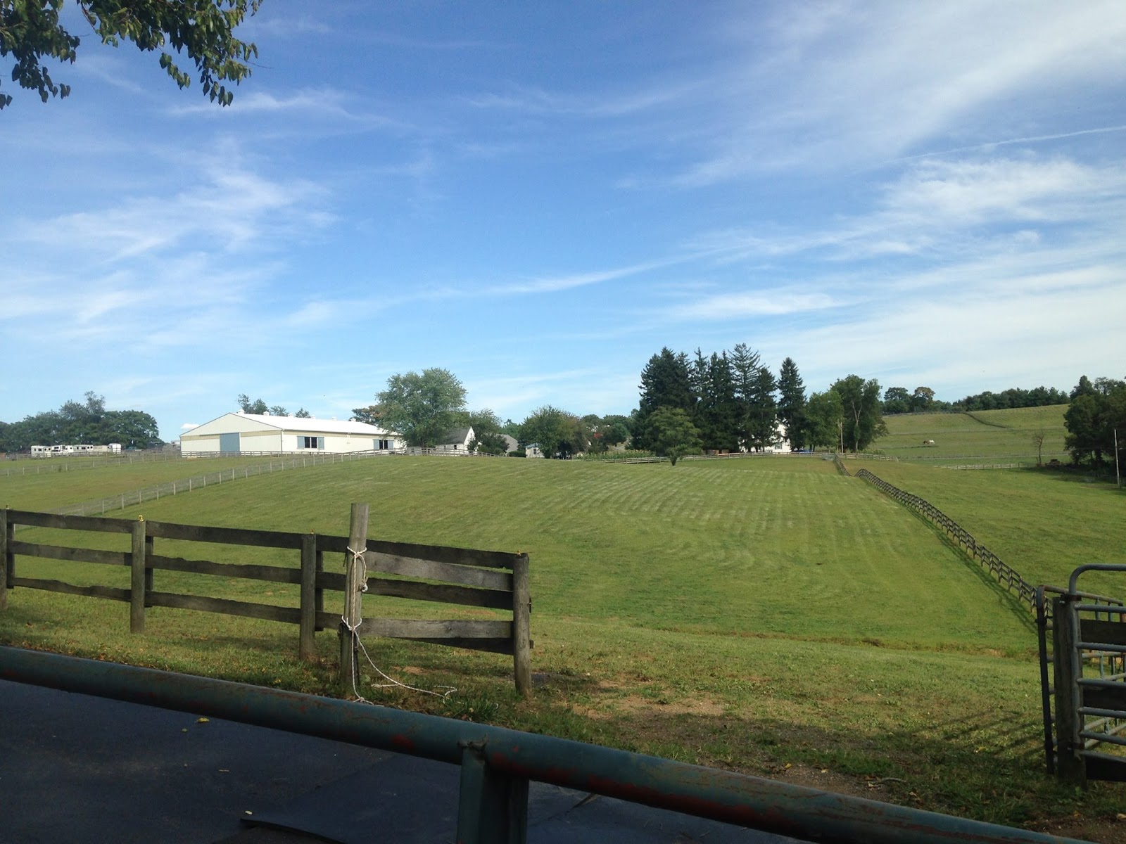 Southwind Farm, Inc. A Premier Horse Boarding Facility located in