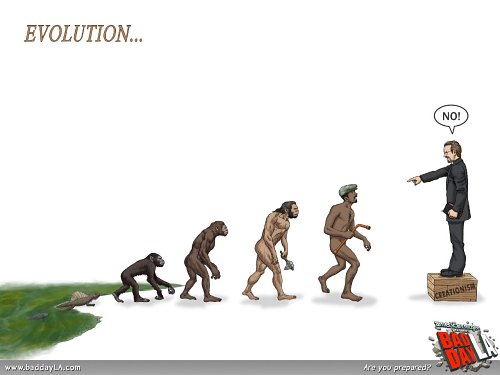 evoluție