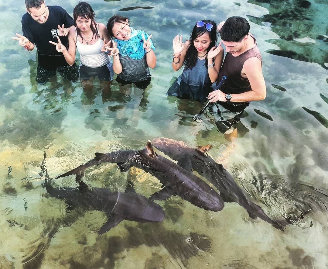 Jepara, Surga Wisata Pesisir Utara Pulau Jawa - Wisata Hits