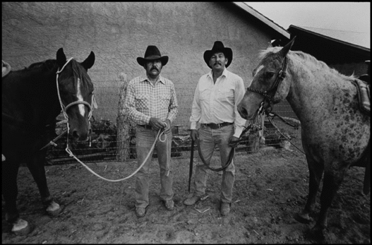 Themes And Quotes Bless Me Ultima