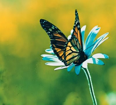 amore, benessere, cambiamento, crescita personale, crescita spirituale, di successo, dna, essere felici, felici, il successo, la crescita, la felicità, l’alimentazione, ricerca della felicità, vivere felici, amore, benessere, cambiamento, crescita personale, crescita spirituale, di successo, dna, essere felici, felici, il successo, la crescita, la felicità, l’alimentazione, ricerca della felicità, vivere felici,