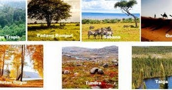 Macam-Macam Ekosistem Darat dan Ciri-Cirinya | Artikelsiana